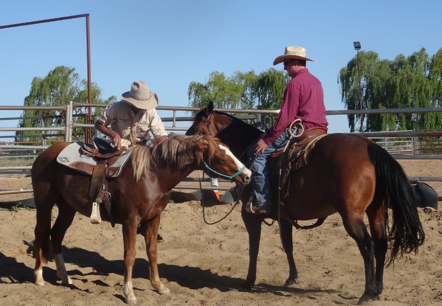 Miro and a friend working horses in an arena