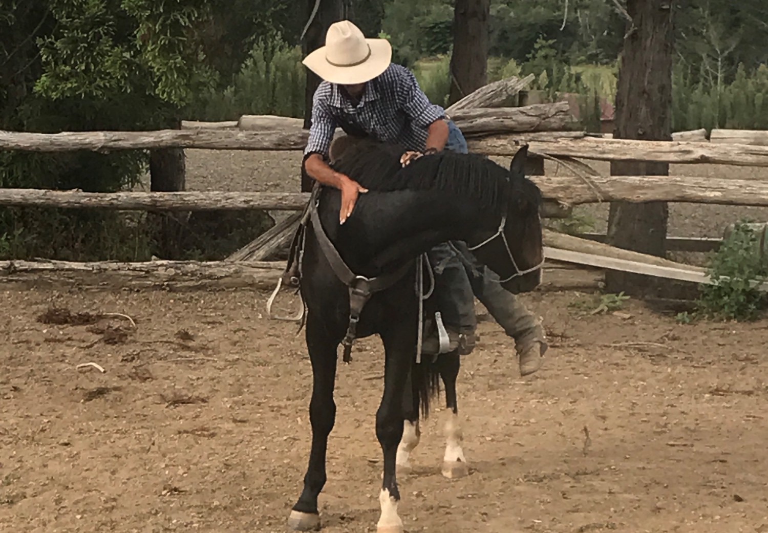 Miro working on a black horse in an arena