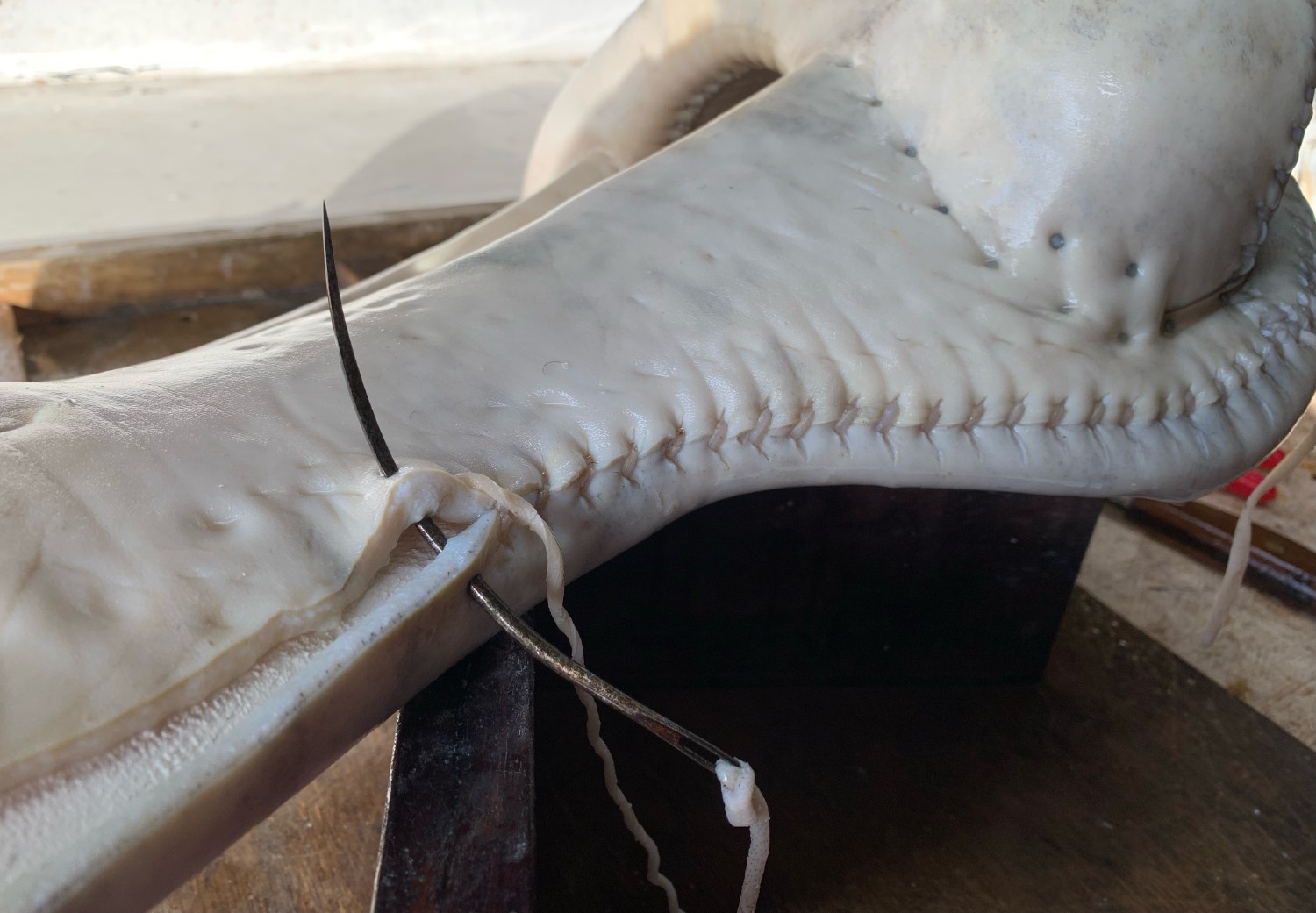 In progress saddle tree with rawhide being sewn on with curved needle